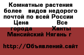 Комнатные растения более200видов недорого почтой по всей России › Цена ­ 100-500 - Все города  »    . Ханты-Мансийский,Нягань г.